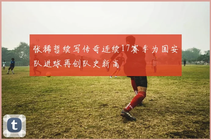 张稀哲续写传奇连续17赛季为国安队进球再创队史新高
